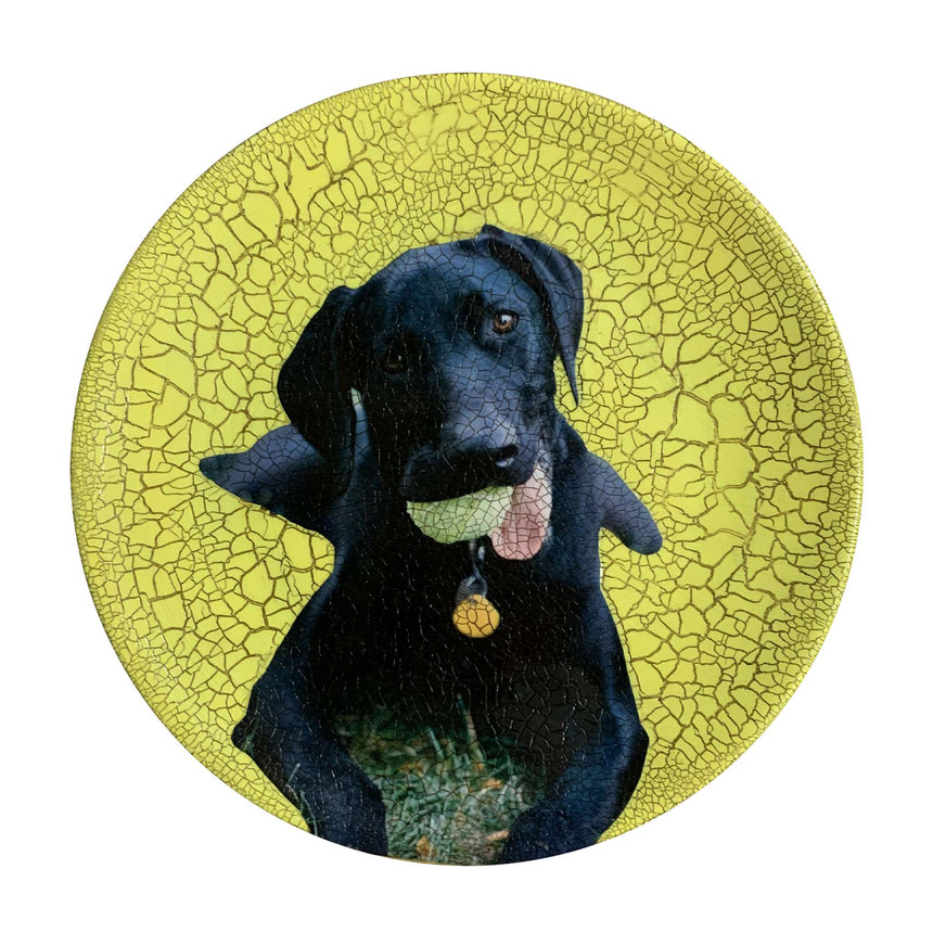 Decoupage - Medium Plate | Dog With Ball