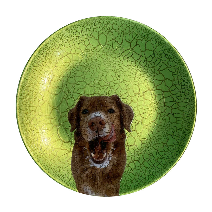 Decoupage - Small Plate | Dog Licking Lips