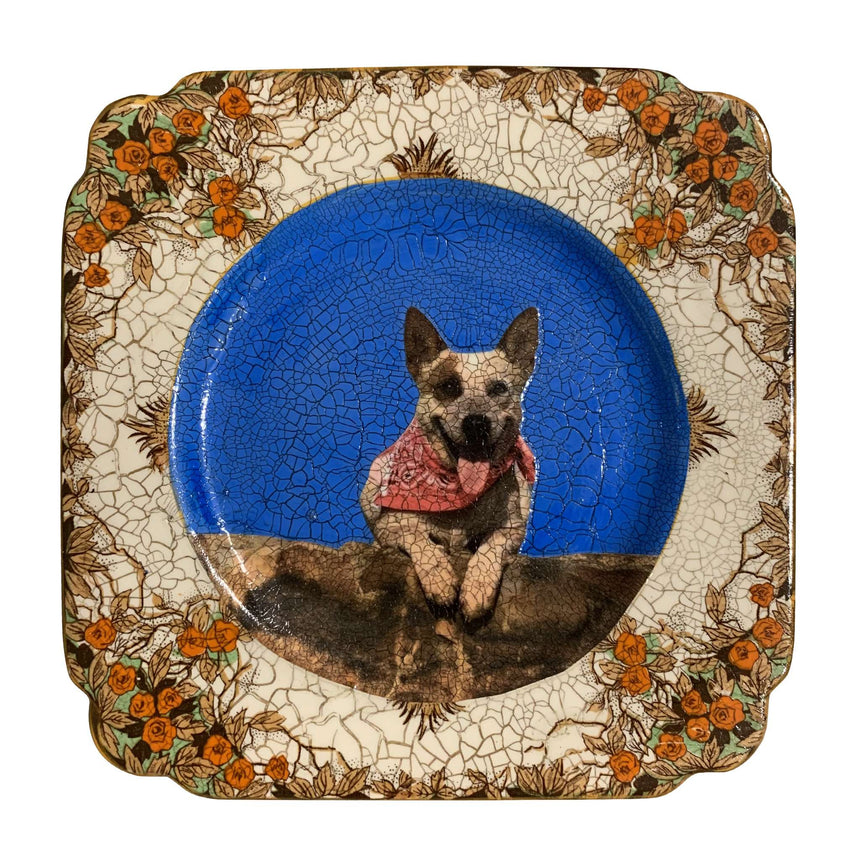 Decoupage - Small Plate | Dog In Fetching Scarf