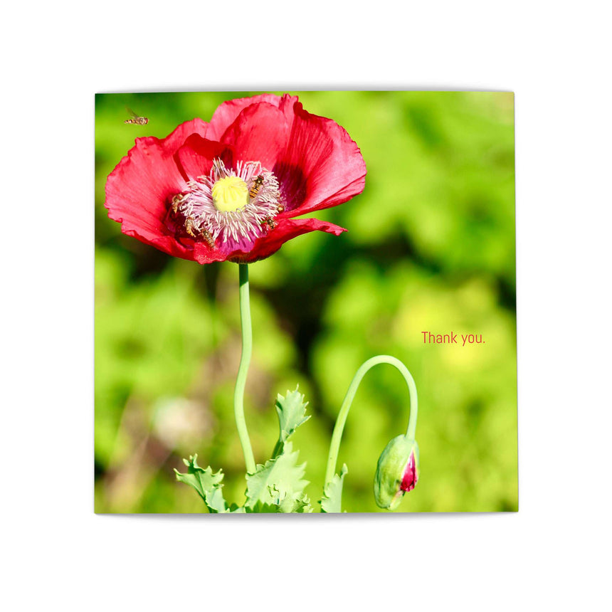 Thank You Poppy - Greeting Card